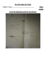 PKG - 3.docx